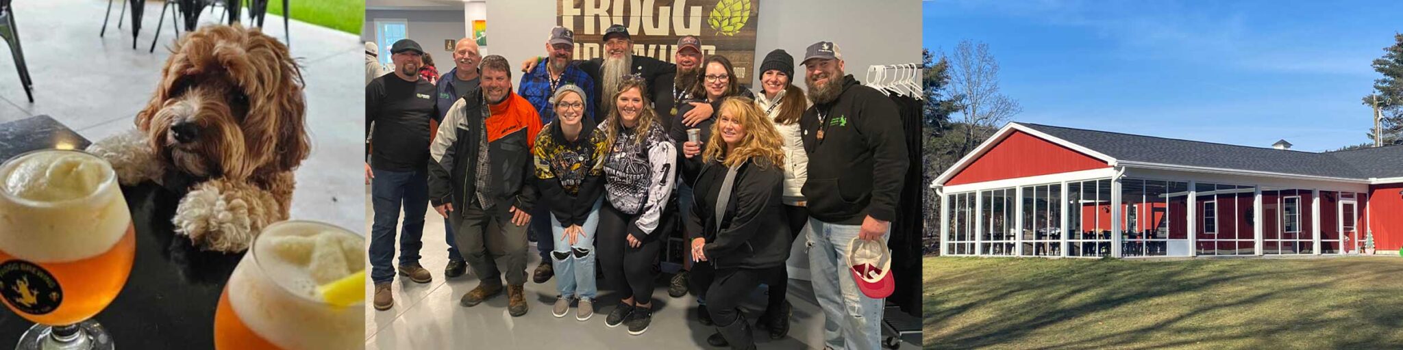 Home Frogg Brewing